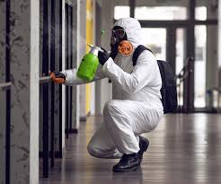  , KY Mold Removal Pros